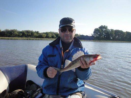 post-1808-0-34938600-1408793078_thumb.jp