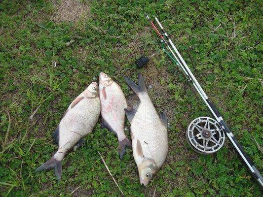 post-1808-0-34953100-1408428080_thumb.jp