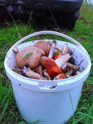 post-1898-0-84123200-1409136435_thumb.jp