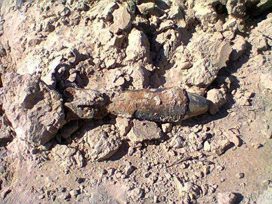 post-1097-0-41932700-1440777925_thumb.jp