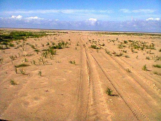 post-1097-0-69931400-1440777925_thumb.jp