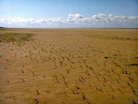 post-1097-0-99928700-1440777925_thumb.jp