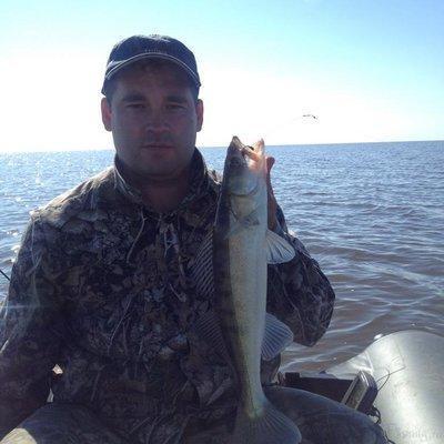 post-1299-0-18691400-1440317995_thumb.jp