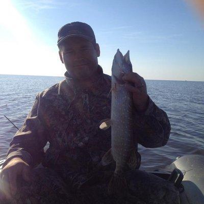 post-1299-0-28824600-1440317986_thumb.jp