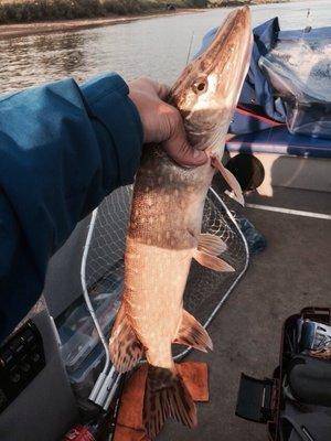 post-1327-0-18722800-1438459586_thumb.jp