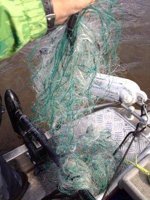 post-1327-0-46130800-1440958448_thumb.jp