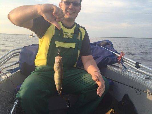 post-1327-0-85168000-1440528195_thumb.jp