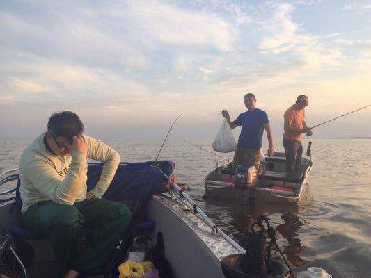 post-1327-0-90053300-1440528316_thumb.jp