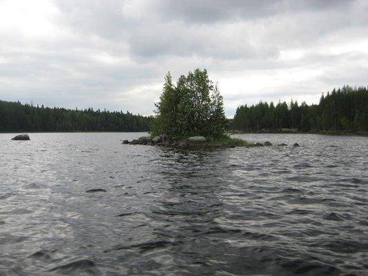 post-1353-0-22148100-1439676399_thumb.jp