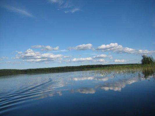 post-1353-0-96573000-1439676502_thumb.jp