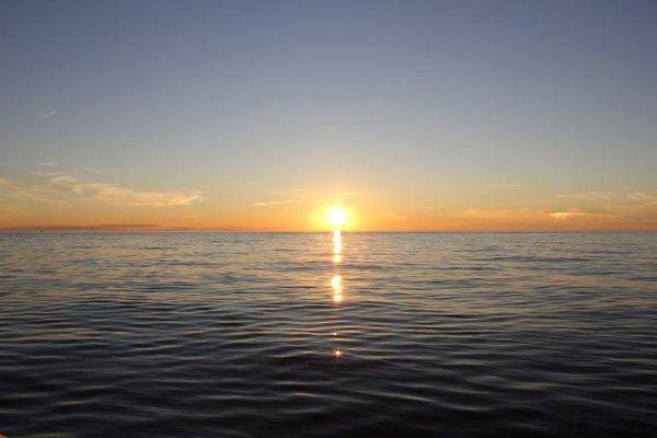 post-2229-0-21465700-1439323376_thumb.jp