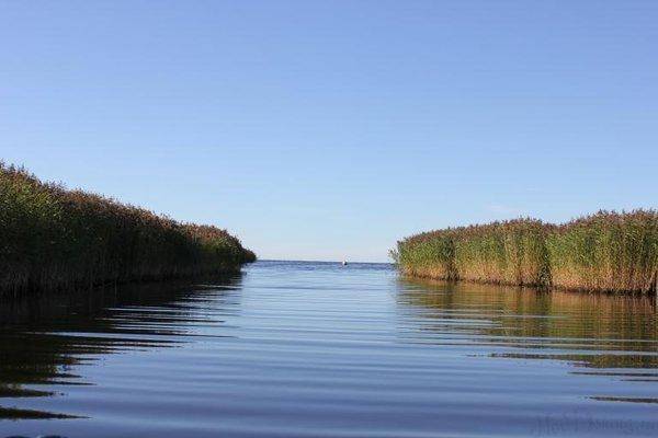 post-2229-0-86326300-1439323099_thumb.jp