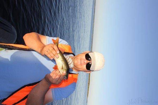 post-2229-0-91282200-1439323249_thumb.jp