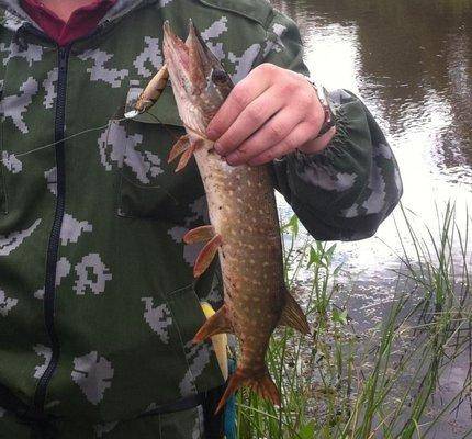 post-2404-0-06814600-1438586865_thumb.jp