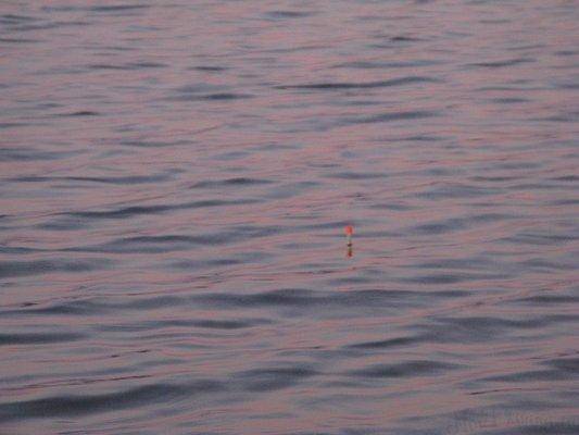 post-2414-0-22670000-1440408869_thumb.jp