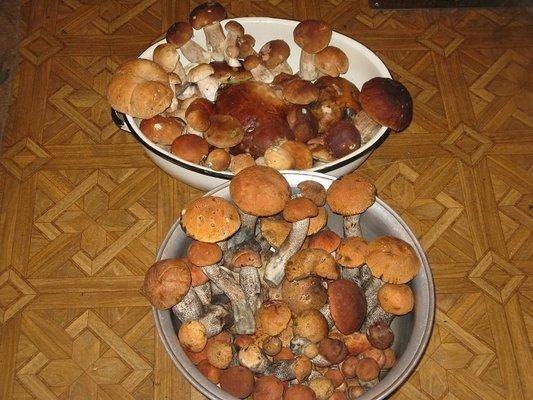 post-2414-0-24935000-1438979918_thumb.jp