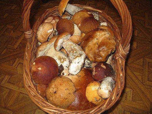 post-2414-0-32879400-1438979833_thumb.jp