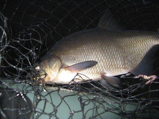 post-2414-0-41153300-1440408921_thumb.jp