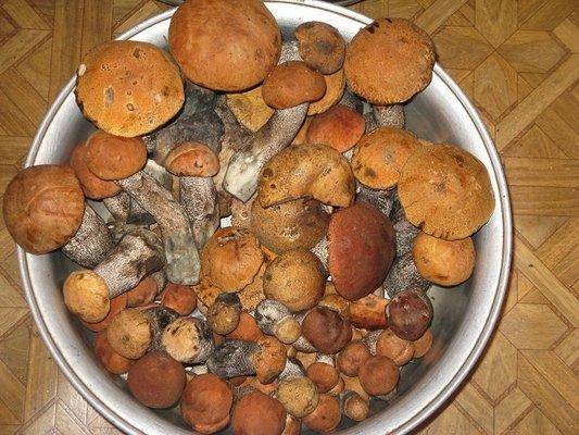 post-2414-0-54870100-1438979874_thumb.jp