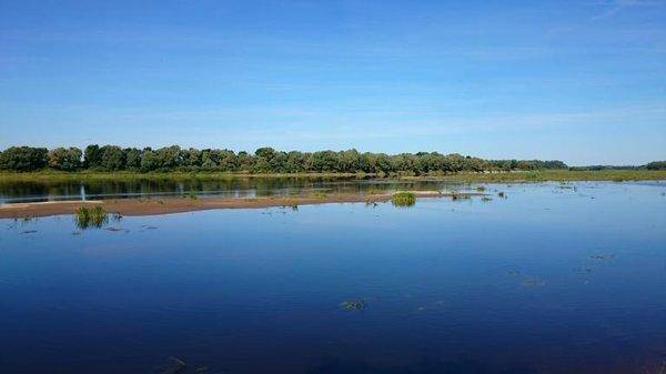 post-2551-0-19381800-1440351799_thumb.jp