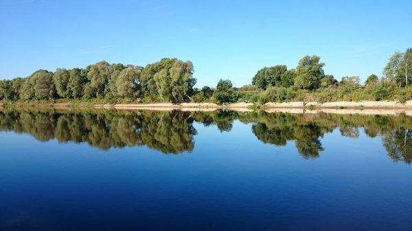 post-2551-0-55898700-1440351732_thumb.jp