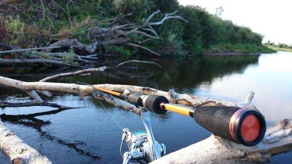 post-2551-0-59539000-1440351849_thumb.jp