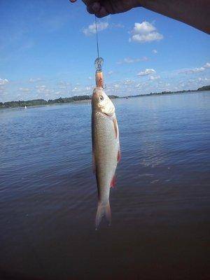 post-2629-0-13220800-1438863535_thumb.jp