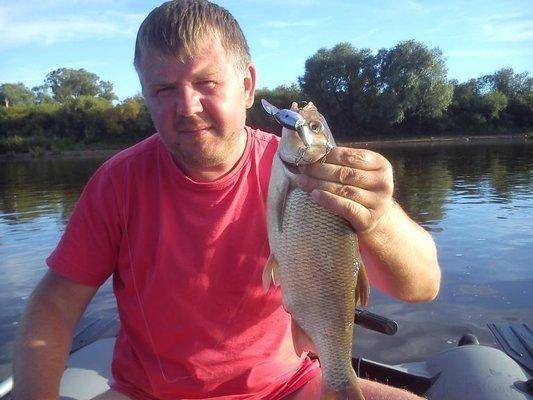 post-2629-0-75899500-1438863567_thumb.jp