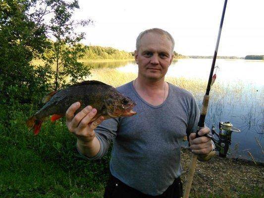 post-2726-0-42407900-1439453898_thumb.jp