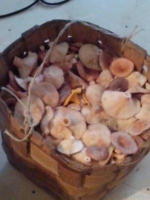 post-1128-0-71080500-1410524547_thumb.jp