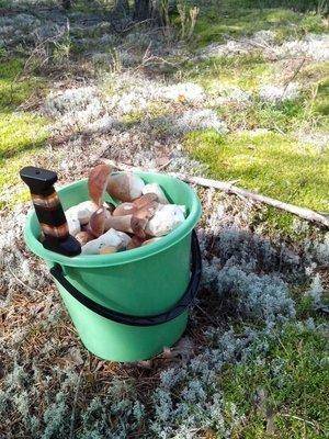 post-1128-0-79810800-1409847247_thumb.jp