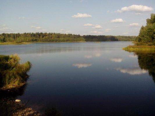 post-1128-0-89038000-1410524238_thumb.jp