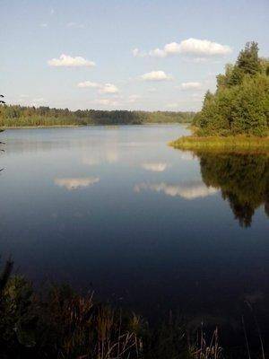 post-1128-0-96219600-1410524224_thumb.jp