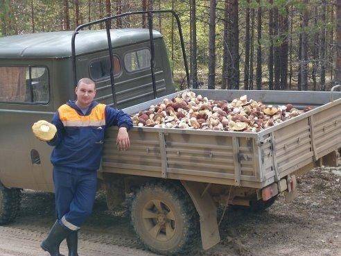 post-1299-0-13924700-1410202785_thumb.jp