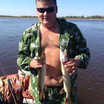 post-1299-0-40806000-1410333059_thumb.jp