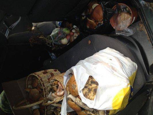 post-1299-0-82823200-1410103834_thumb.jp