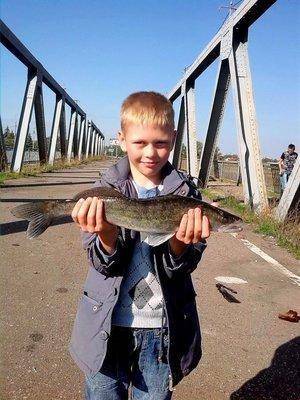 post-1458-0-79887200-1410104532_thumb.jp