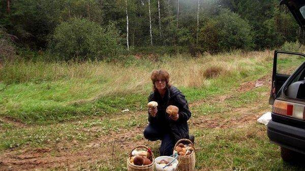 post-1594-0-11767000-1409778268_thumb.jp