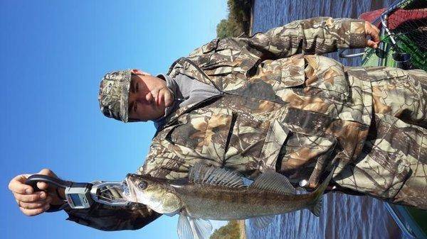 post-1734-0-83836600-1410710516_thumb.jp