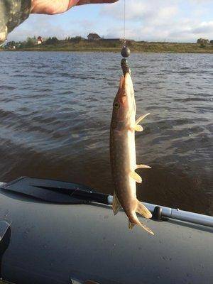 post-2601-0-06592100-1441569774_thumb.jp