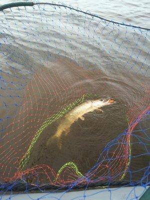 post-2601-0-08996700-1441226821_thumb.jp