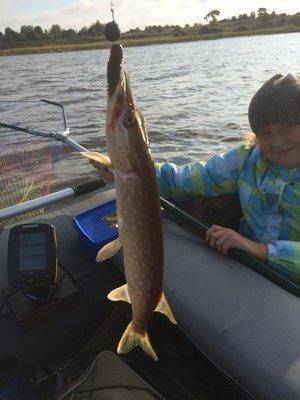 post-2601-0-20474400-1441569730_thumb.jp