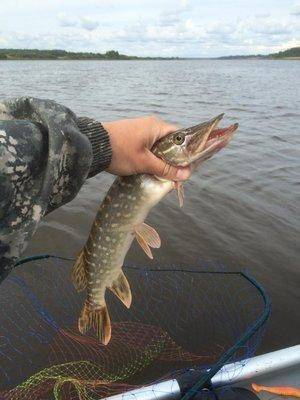 post-2601-0-64789700-1441226934_thumb.jp