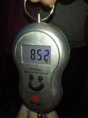 post-1163-0-08340000-1413739553_thumb.jp