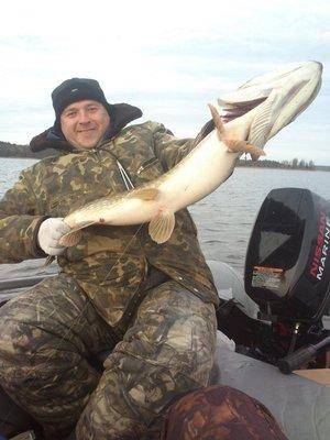 post-1163-0-34287400-1413739419_thumb.jp