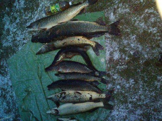 post-1163-0-53210300-1413739535_thumb.jp