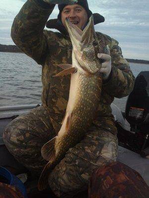 post-1163-0-58458000-1413739437_thumb.jp