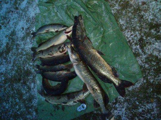 post-1163-0-84293400-1413739588_thumb.jp