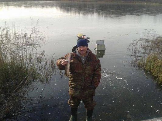 post-1209-0-78019900-1414313264_thumb.jp