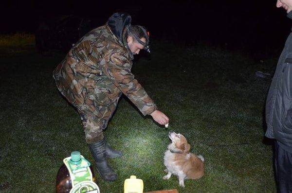 post-1327-0-24240200-1412533016_thumb.jp